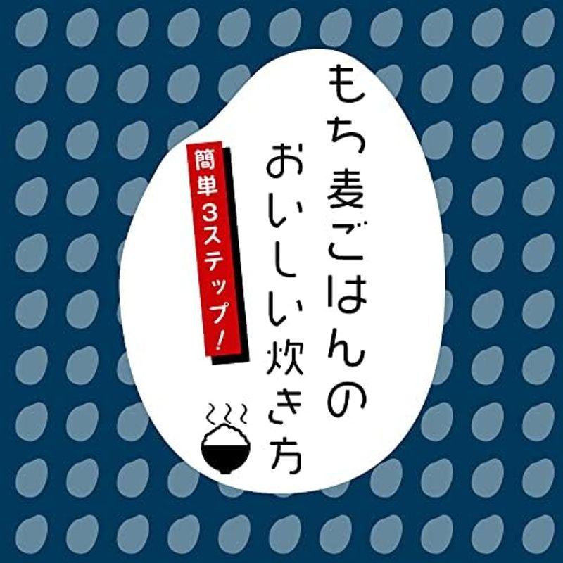 もち麦 国産 ダイシモチ 佐賀県産100% 紫紺色のダイシもち麦 1600g（1.6kg） リフ工房 もちむぎ 国産 もち 麦 麦飯 麦ごは