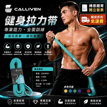TTCZ 真實磅數【TTCZ 進口阻力帶】多能環狀彈力帶、拉力繩、阻力帶、訓練帶、彈力帶、拉力帶、trx 多功能訓練