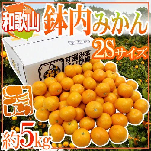 みかん 和歌山・有田産 ”鉢内みかん” 秀品 2Sサイズ 約5kg はちうちみかん 送料無料