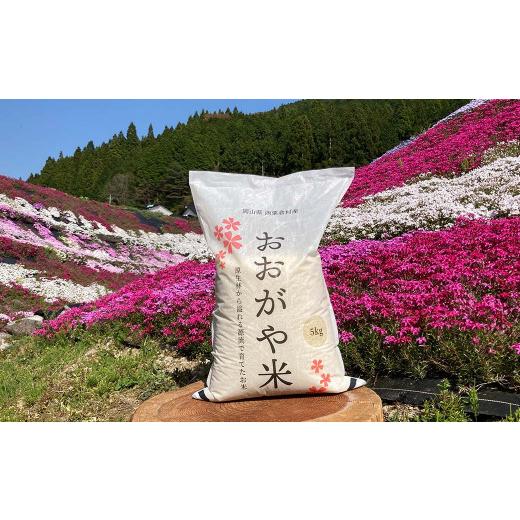 ふるさと納税 岡山県 西粟倉村 白米 10kg 令和5年産 コシヒカリ 岡山 「おおがや米」生産組合 G-ag-CCZA