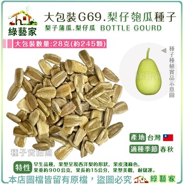 【綠藝家】大包裝G69.梨仔匏瓜種子28克(約245顆) (梨子蒲瓜.梨仔瓜) 早生品種，果型呈現西洋梨的形狀 種子