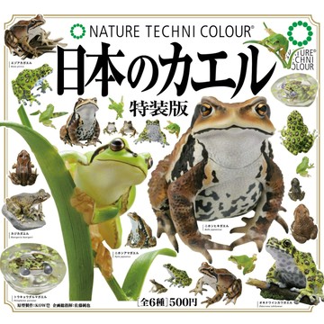 『現貨』NTC圖鑑-日本蛙 特裝版    IKIMON  扭蛋   轉蛋   【蛋樂寶】
