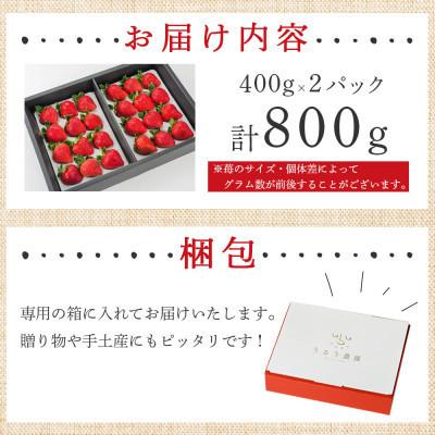 ふるさと納税 那珂川市 特選あまおう　800g(那珂川市)