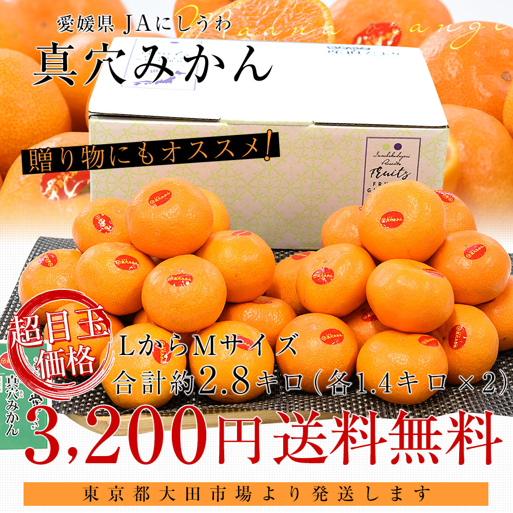 愛媛県 JAにしうわ 真穴みかん 約2.8キロ(1.4キロ×2) LからMサイズ 送料無料 ミカン 蜜柑 まあなみかん 愛媛みかん 市場発送