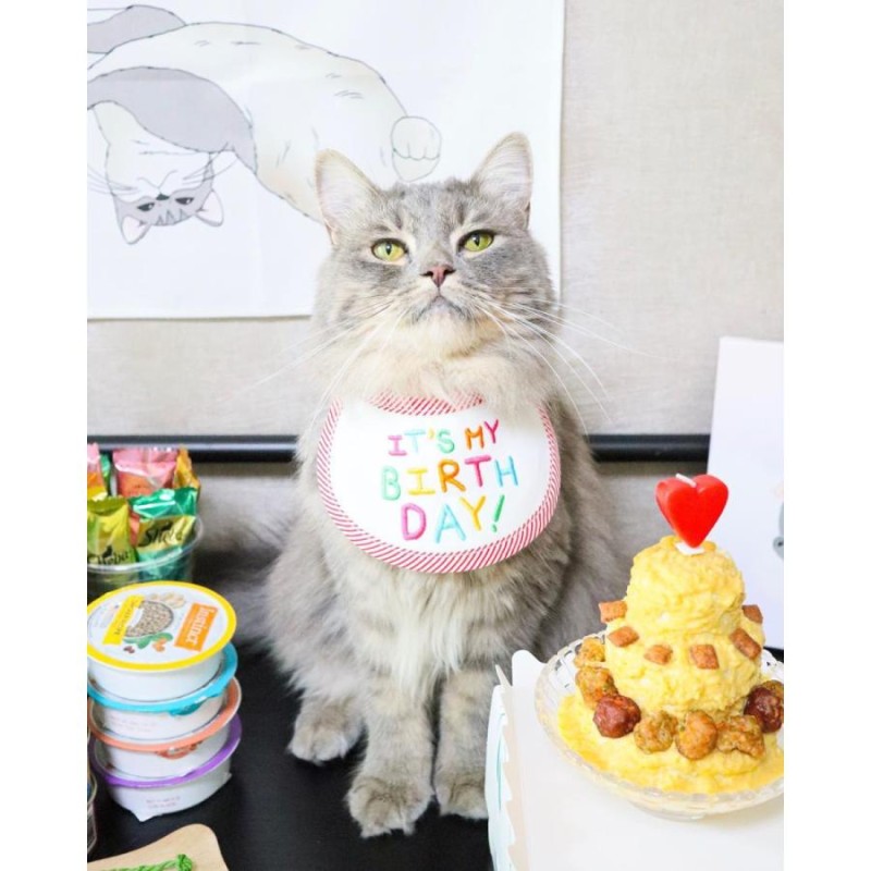 ペット用品　犬　猫　小型　バースデー　スタイ　エプロン　誕生日　お祝い　可愛い