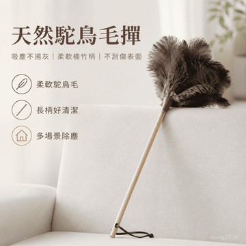 🔥臺灣出貨🔥鴕鳥毛撢子 / 長柄除塵撢 / 雞毛撢子 / 楠竹柄 / 軟毛掃 / 桌面 / 窗台 / 櫃頂清潔
