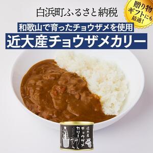 缶詰バー気分が楽しめる缶詰セット　缶詰め セット カレー だし巻き 鯛 チョウザメ カンソ おつまみ 備蓄 非常食 常温 常温保存