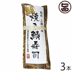 越前三國湊屋 照り焼き鯖寿司 約290g×3本 福井県 寿司 ご飯もの 福井の定番お土産 みりん醤油香る鯖寿司