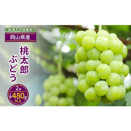 ふるさと納税 ぶどう 2024年 先行予約 桃太郎 ぶどう 2房（1房480g以上）化粧箱入り ブドウ 葡萄  岡山県産 国産 フルーツ 果物 ギフト 岡山県岡山市