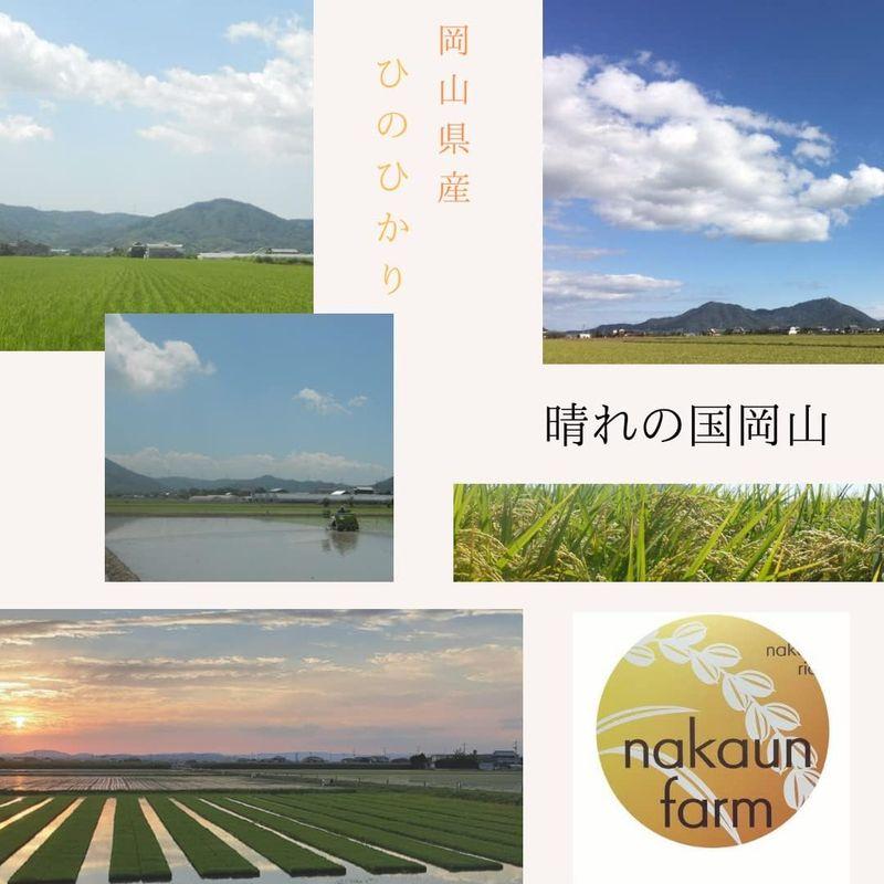 玄米生産者直送岡山県産 ひのひかり 玄米10? 令和４年度