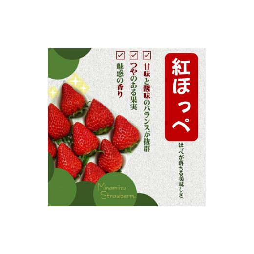 ふるさと納税 静岡県 南伊豆町 地元JA品評会金賞受賞　冷凍イチゴ