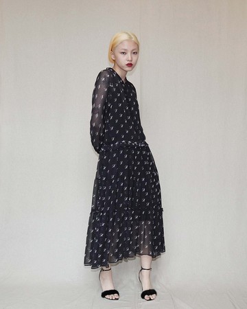 南瓜Vintage。HARDY NOIR 黑色 透膚 雪紡 印花 長袖 洋裝