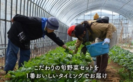 五島列島の旬野菜セット7?10品目 おまかせ おたのしみ 詰め合わせ 五島市 五島のやぁしゃ便 [PBG002]