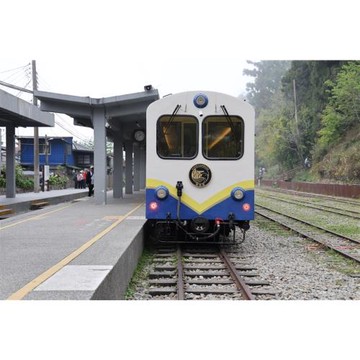 雄獅旅遊xRoots森遊阿里山林鐵栩悅號.水山森林療癒.特富野鄒風起｜高鐵三日_25TSCYISBX