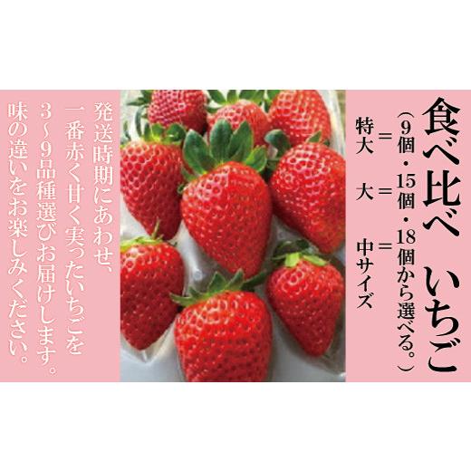 ふるさと納税 兵庫県 猪名川町 食べ比べいちご(９個）