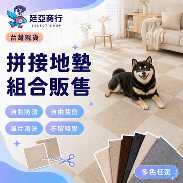 【現貨】 拼接地墊 巧拼地毯 防滑地墊 自黏吸音 寵物防滑 地毯 30cm 巧拼 止滑 不留殘膠 自由裁剪 DIY 地板