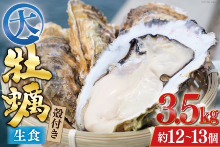  牡蠣 大粒 3～4年モノ 生食 殻付き牡蠣 約3kg(約9-12個入) [住喜水産 宮城県 気仙沼市 20562174] 期間限定 冷蔵 新鮮 濃厚 真牡蠣 カキ かき 生牡蠣 魚貝類 生牡蠣 貝 海鮮 魚介類 なべ カキフライ 牡蠣ご飯 魚介