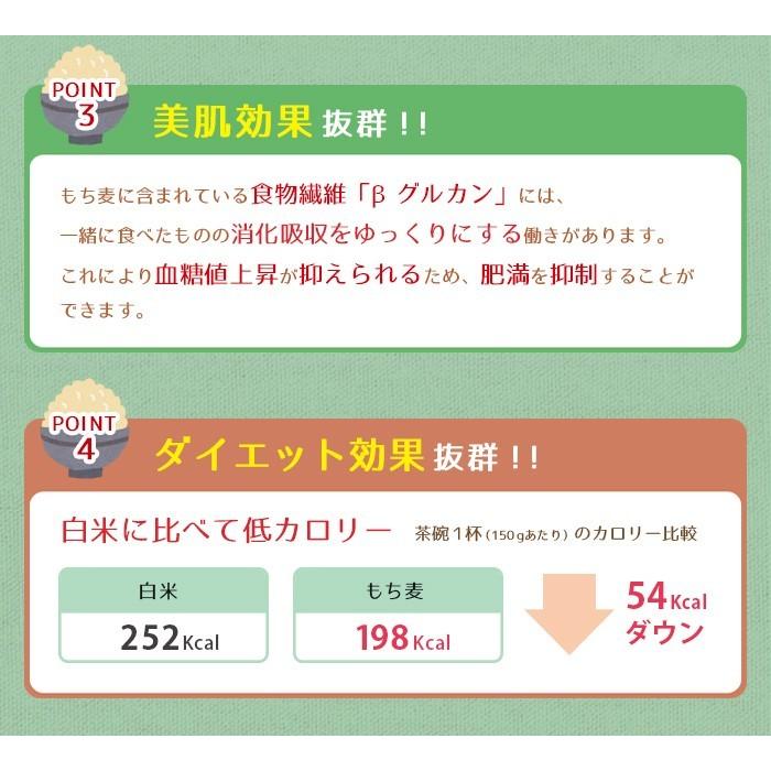 もち麦 ５ｋｇ 国産 丸もち麦 ぷちぷち 愛媛県 もちむぎ 繊維質 プチプチ おいしい