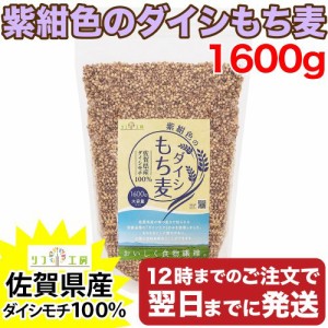 もち麦 国産 ダイシモチ 佐賀県産100% 紫紺色のダイシもち麦 1600g リフ工房 もちむぎ 国産 もち 麦 麦飯 麦ごはん 麦ご飯 チャック袋付