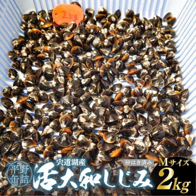 宍道湖産活大和しじみ(M)(砂はき済み) 2kg 〈冷蔵〉