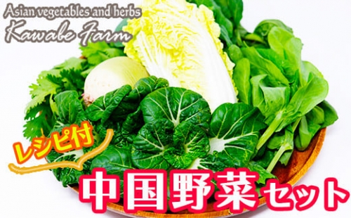 国産アジア野菜の川辺農園 季節の「中国野菜」セット