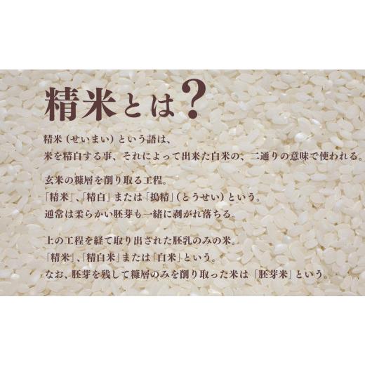 ふるさと納税 奈良県 御杖村 N08 新米 奈良県産 ひのひかり 精米 10kg × 3回 合計 30kg (3回お届け)