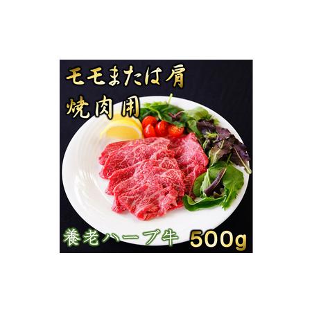 ふるさと納税 養老ハーブ牛　モモまたは肩　焼肉用　500g 岐阜県養老町