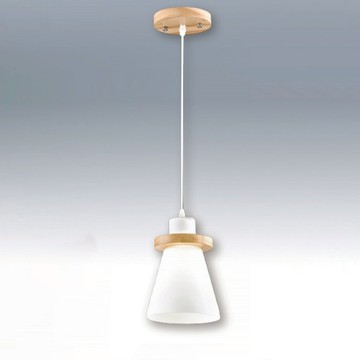 E27北歐風單吊燈 C16-13-61947