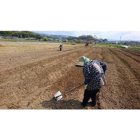 ふるさと納税 　高知県産　土佐季節の野菜詰め合せセット 高知県高知市