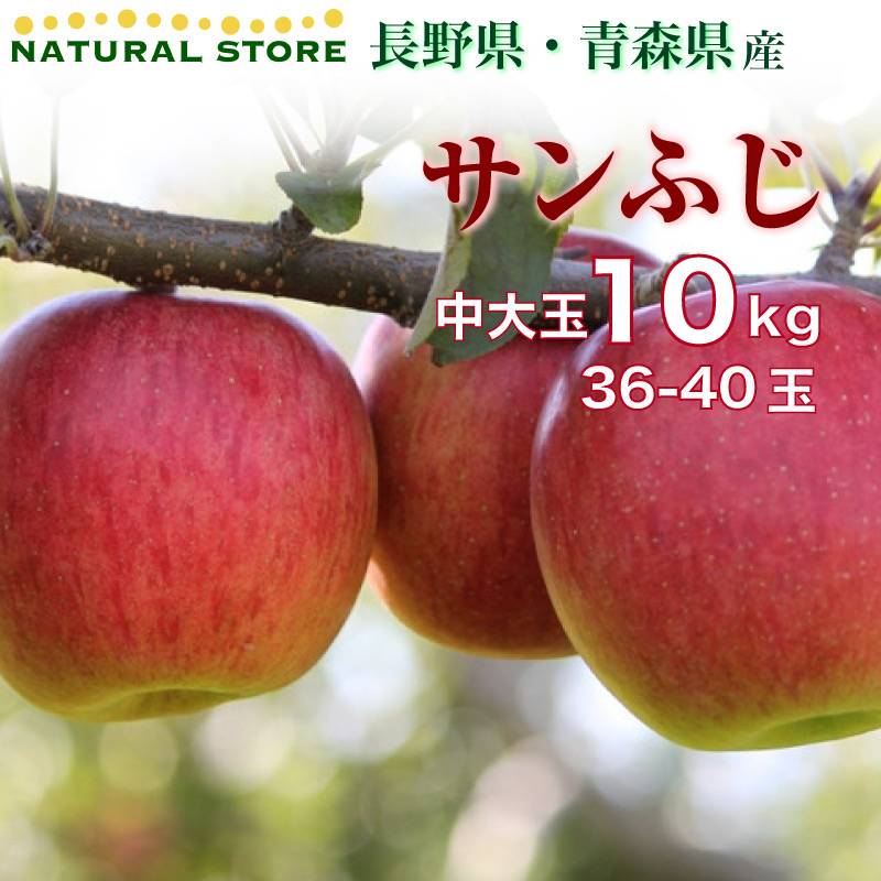 [予約 11月15日～12月15日]  りんご サンふじ 10kg 36-40玉 中大玉 産地箱 ふじ フジ 長野県産 青森県産 長野 青森 さんふじ サンフジ  ふじりんご ふじ林檎  高糖度