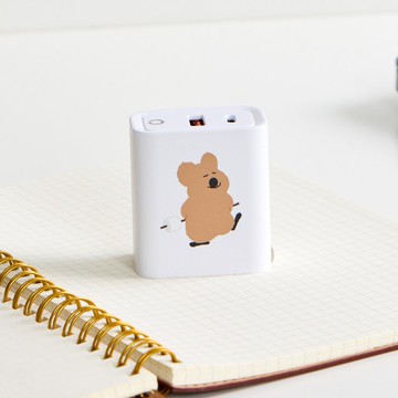 DINOTAENG經典-秘密棉花糖USB3.0+PD20W雙孔充電器