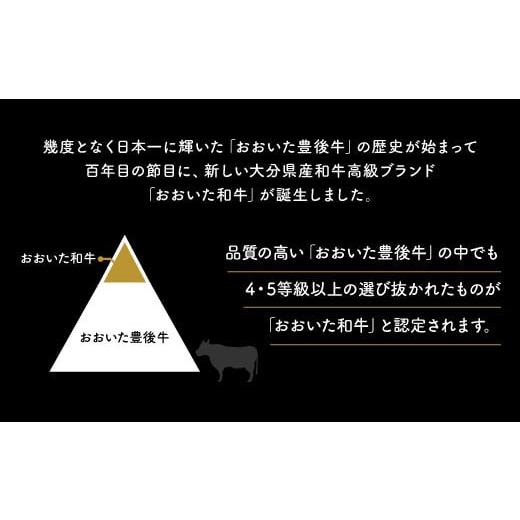 ふるさと納税 大分県 豊後高田市 大分県産黒毛和牛　おまかせすき焼きセット（A4以上 500g）