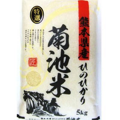 ふるさと納税 菊池市 2024年1月発送開始『定期便』熊本県産ヒノヒカリ 5kg 菊池米全6回