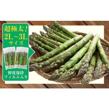 ふるさと納税 露地物朝採りアスパラ 2L〜3Lサイズ800g（400g×2）鮮度保持フィルム入り(2024年5月中旬発送予定) 【 アスパラ ア.. 北海道旭川市