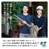 福元農園 旬のお野菜 おまかせセット 1箱（5～8品目）