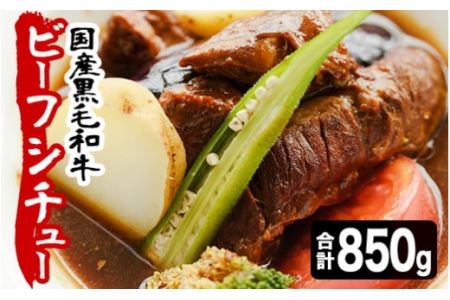 No.131 国産黒毛和牛ビーフシチューセット(計約850g・約170g×5パック)