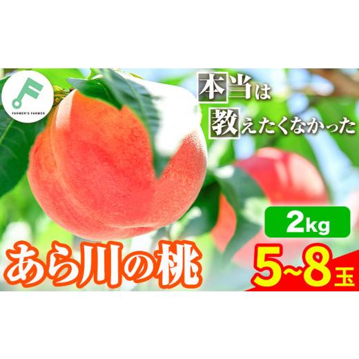 ふるさと納税 和歌山県 紀の川市 紀の川市産 あら川の桃 約2kg 5~8玉 FARMER'S FARMER《2024年6月中旬-8月上旬頃より順次出荷》 和歌山県 紀の川市 果物 …