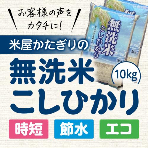 新米 令和5年 無洗米 10Kg 5Kg×2 送料無料 コシヒカリ 新潟 あすつく 米 新潟県産 こしひかり 美味しい お米 白米 おいしいお米 美味しい米