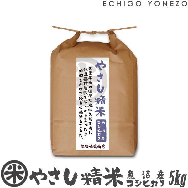 [新潟米 令和4年産] 魚沼産コシヒカリ やさし精米 5kg (5kg×1袋) 低温循環精米 新潟米 お米 白米 新潟県産 こしひかり 送料無料 ギフト対応