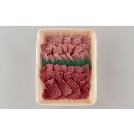 ふるさと納税 長崎和牛カルビ・赤身焼肉用(500g) 長崎県佐世保市