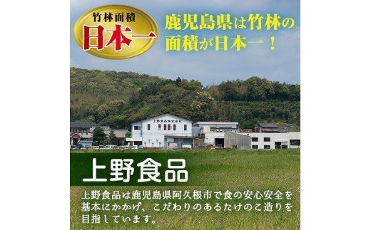 akune-2-41 ＜先行予約受付中！2024年3月から順次発送予定＞数量限定！朝堀り青果たけのこ(約1.5kg)国産 新鮮 タケノコ 竹の子 筍 野菜 春 旬 期間限定2-41