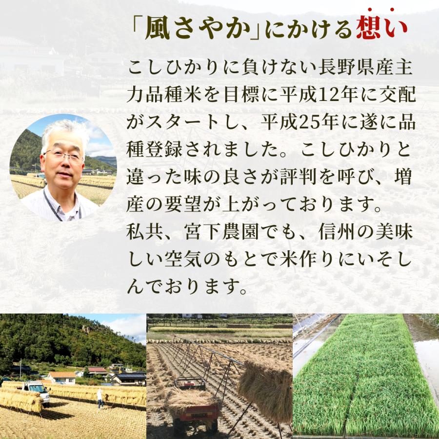  長野県産 風さやか 5kg 冷めても美味しいお米 安心の国産 農家直送 令和5年産 白米 お米 おこめ 精米 5キロ（5kg×1袋）