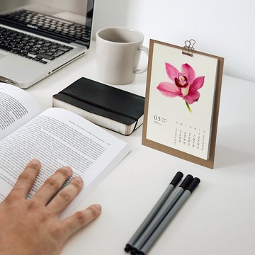 花語  2026桌曆 手繪花朵插畫 台灣香港假期 聖誕交換禮物 17