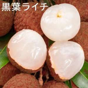 冷凍 ライチ 1kg 皮付き 黒葉種 トロピカルフルーツ 業務用 冷凍 ライチ酒 ライチ レイシ 冷凍ライチ フルーツ 果物 バラ凍結