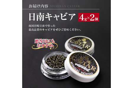 日南CAVIAR「キャビア」計8g(4g×2個)　魚　魚介　国産 BB19-191