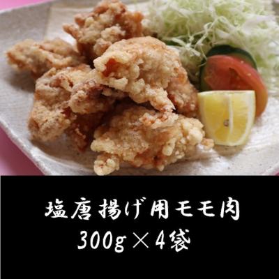 ふるさと納税 南九州市 焼くだけ!揚げるだけ!鹿児島県産若鶏モモ2kg