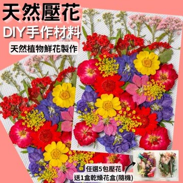 【A-ONE】天然乾燥壓花 押花材 花藝材料包 浮游花 永生花 繽紛 拍照道具 乾花 乾燥花 親子手工 香氛片材料