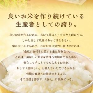 ふるさと納税 江刺金札米ひとめぼれ 無洗パック米 2kg×5袋 令和5年産 新米  特別栽培米 [A0042] 岩手県奥州市