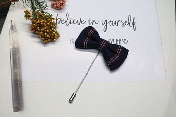 条纹领结胸针改良式胸花插针文艺范