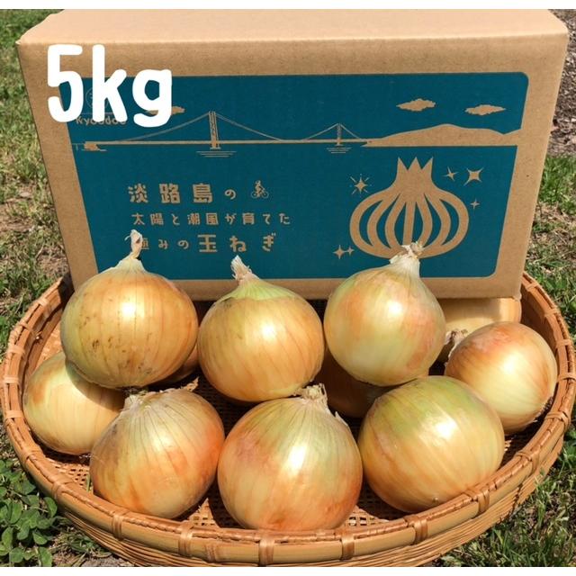 淡路島産玉ねぎ　5kg